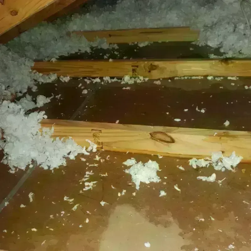 Attic Water Damage in Kalona, IA